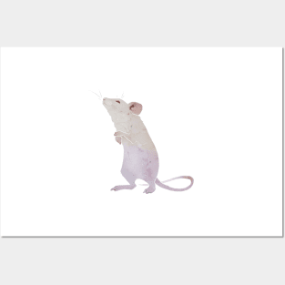 White Mouse Posters and Art